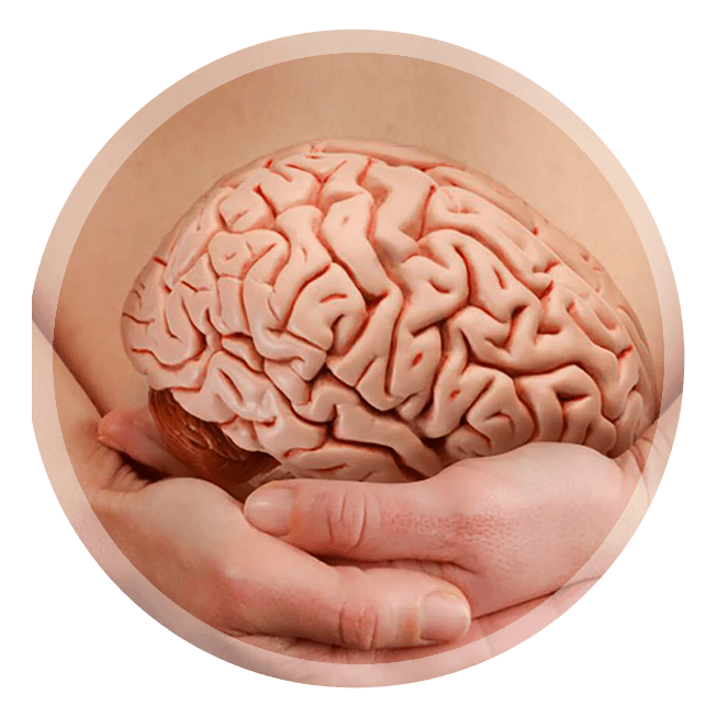 massage-ventre-paris3